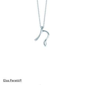 Tiffany and Co Elsa Peretti “N” necklace